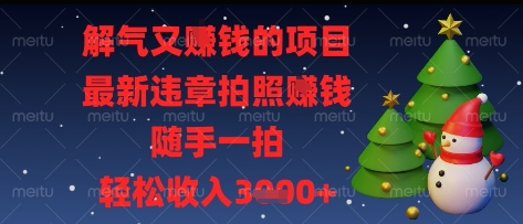 解气又挣钱的项目，最新违章拍照挣钱，随手一拍，轻松收入多张【揭秘】-轻金阁