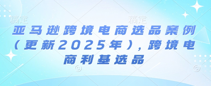 亚马逊跨境电商选品案例(更新2025年4月)，跨境电商利基选品-轻金阁
