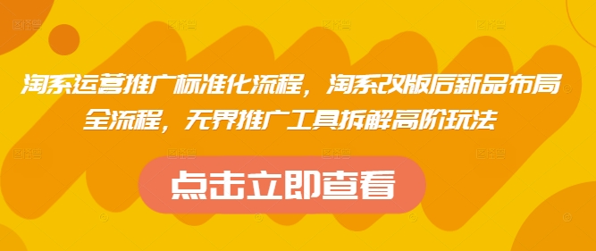 淘系运营推广标准化流程，​淘系改版后新品布局全流程，无界推广工具拆解高阶玩法-轻金阁