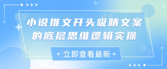 小说推文开头吸睛文案的底层思维逻辑实操-轻金阁