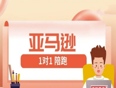 亚马逊1对1陪跑课(FBA/FBM精铺)跨境亚马逊教程-轻金阁
