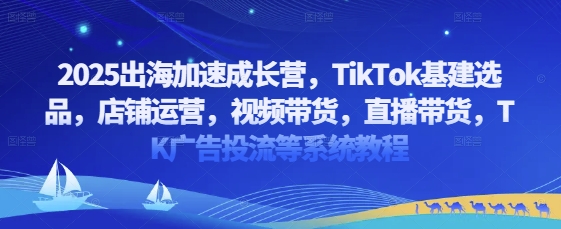 2025出海加速成长营，TikTok基建选品，店铺运营，视频带货，直播带货，TK广告投流等系统教程-轻金阁