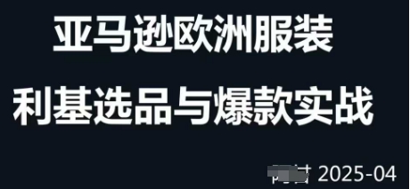 跨境电商选品案例24-25年，聚焦跨境电商选品策略与运营优化，助力卖家挖掘蓝海市场-轻金阁