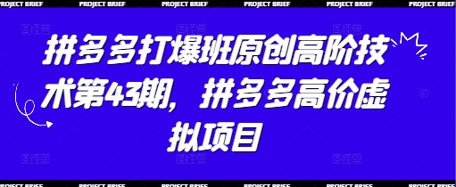 拼多多打爆班原创高阶技术第43期，拼多多高价虚拟项目-轻金阁