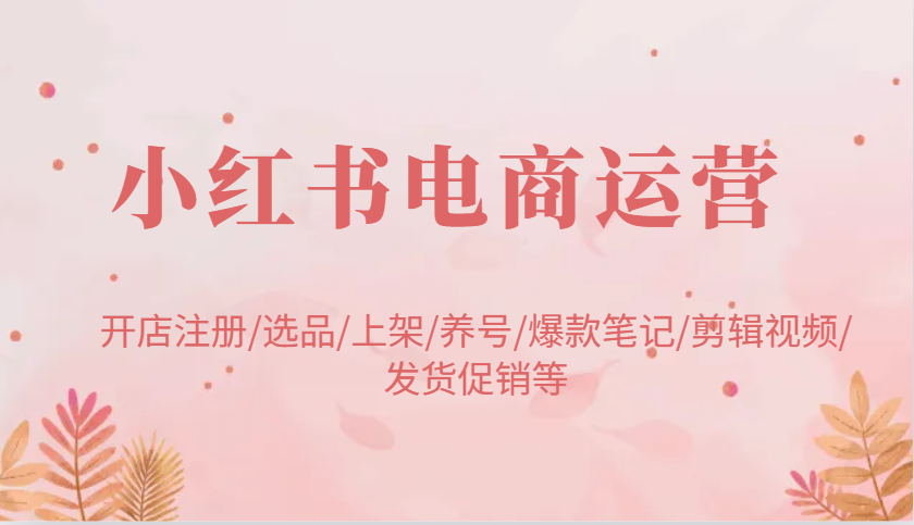 小红书电商运营：开店注册/选品/上架/养号/爆款笔记/剪辑视频/发货促销等-轻金阁