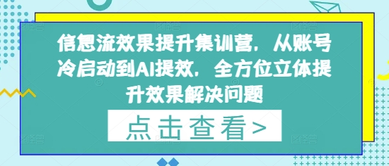 信息流效果提升集训营，从账号冷启动到AI提效，全方位立体提升效果解决问题-轻金阁