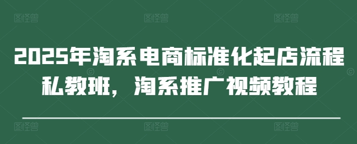 2025年淘系电商标准化起店流程私教班，淘系推广视频教程-轻金阁