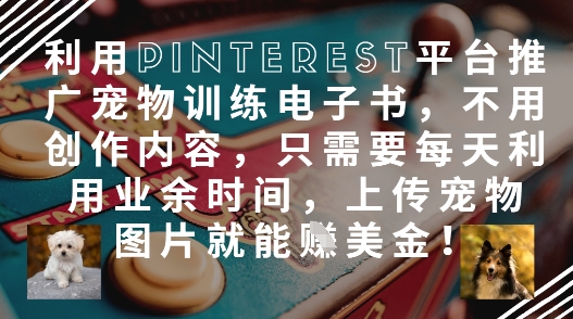 利用Pinterest平台推广宠物训练电子书，不用创作内容，只需要每天利用业余时间，上传宠物图片就能挣美金!-轻金阁