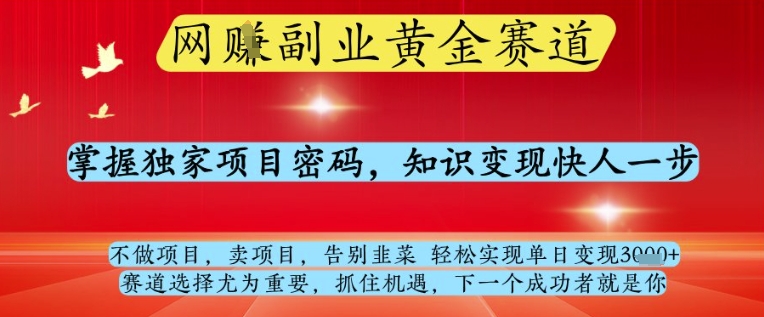 网创副业黄全赛道，掌握独家项目密码，知识变现快人一步，告别韭菜轻松实现单日变现1k+【揭秘】-轻金阁