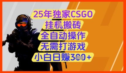 25年独家CSGO挂G搬砖，全自动操作，无需打游戏，小白日入3张+【揭秘】-轻金阁