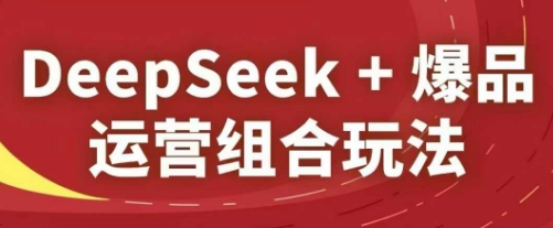 DeepSeek+爆品运营组合玩法，2025淘系精品课-轻金阁