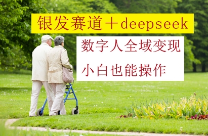 银发赛道+deepseek数字人全域变现，小白也能操作-轻金阁
