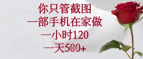 你只管截图，一部手机在家可以做，一小时120.一天5张+【揭秘】-轻金阁