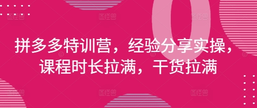 拼多多特训营，经验分享实操，课程时长拉满，干货拉满(更新25年4月)-轻金阁