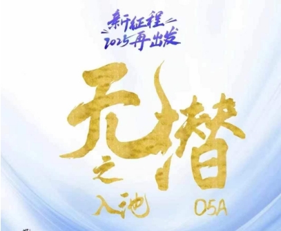 无潜不起全域入池方法论，​2025再出发，全程干货满满，带你掌握全域入池关键技巧-轻金阁