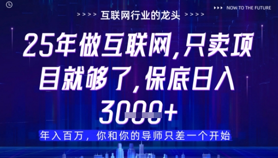 什么！25年你还在找项目做？风口早就变了，卖项目才是稳挣不赔【揭秘】-轻金阁
