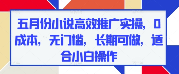 五月份小说高效推广实操，0成本，无门槛，长期可做，适合小白操作-轻金阁