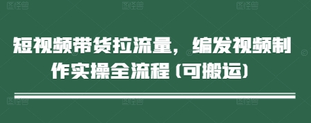 短视频带货拉流量，编发视频制作实操全流程(可搬运)-轻金阁