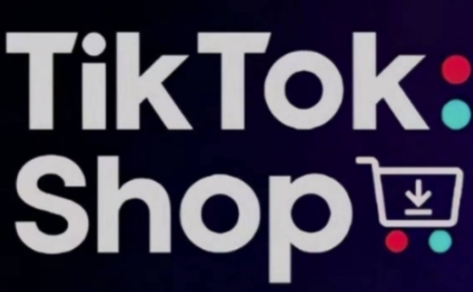 TikTokShop跨境电商0-1实战，手把手教你低成本启动海外市场（更新）-轻金阁