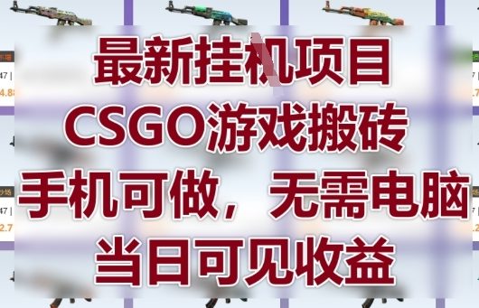 最新挂G项目，CSGO游戏搬砖，手机可做，无需电脑，当日见收益【揭秘】-轻金阁