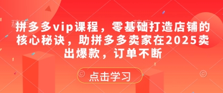 拼多多vip课程，零基础打造店铺的核心秘诀，助拼多多卖家在2025卖出爆款，订单不断-轻金阁