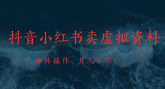 抖音小红书卖虚拟资料，市场需求一直存在，矩阵操作，月入1w+-轻金阁