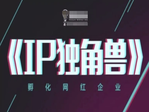 IP独角兽，孵化网红企业，ip教程-轻金阁