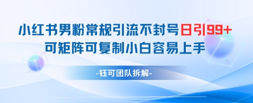 小红书男粉常规引流不封号日引99+变现简单 可矩阵可复制小白容易上手-轻金阁