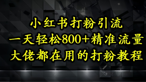 小红书打粉引流，一天轻松500+精准流量，大佬都在用的打粉教程-轻金阁