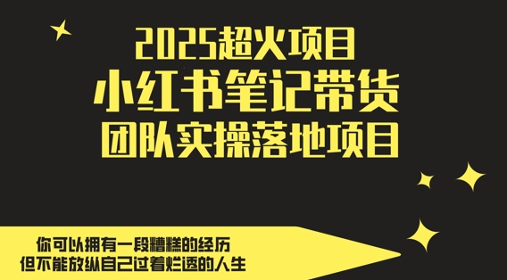 2025超火项目，副业最佳选择，小红书笔记带货团队实操落地项目，，轻松日入5张-轻金阁