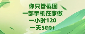 你只管截图，一部手机在家做，苹果安卓都可以，一天5张+【揭秘】-轻金阁