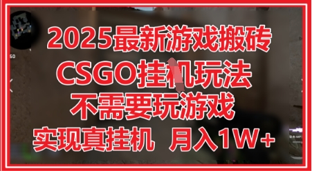 2025最新游戏搬砖，CSGO挂G，不需要玩游戏，实现真挂G，月入1W+【揭秘】-轻金阁