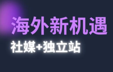 2025出海新机遇(社媒+独立站)，海外新机遇，实现独立站的高效运营与出海-轻金阁