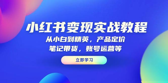 小红书变现实战教程：从小白到精英，产品定价，笔记带货，账号运营等-轻金阁