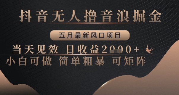抖音无人撸音浪掘金，五月最新风口项目，当天见效，日收益多张，小白可做简单粗暴可矩阵【揭秘】-轻金阁