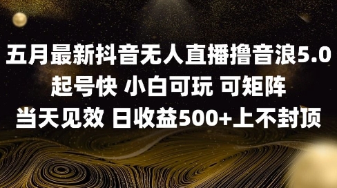 2025五月最新无人直播撸音浪单日产出5张+实操教程【揭秘】-轻金阁