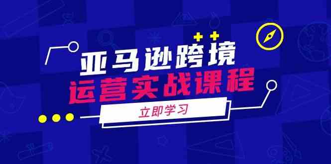 亚马逊跨境运营实战课程：涵盖亚马逊运营、申诉、选品等多个方面-轻金阁