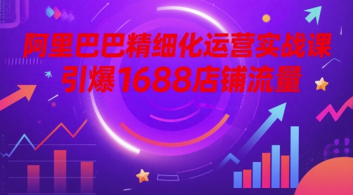 阿里巴巴精细化运营实战课，引爆1688店铺流量-轻金阁