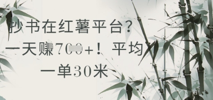 抄书在小红薯平台？平均一单30米，一天收益几张！-轻金阁