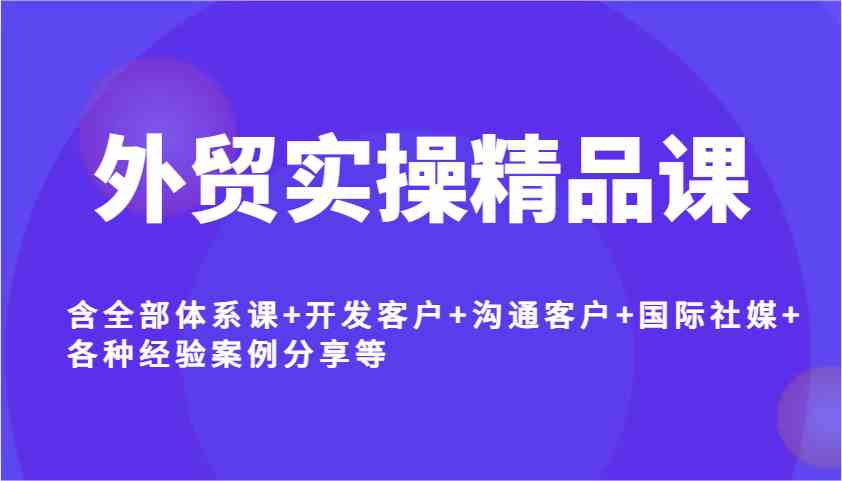 外贸实操精品课，含全部体系课+开发客户+沟通客户+国际社媒+各种经验案例分享等-轻金阁