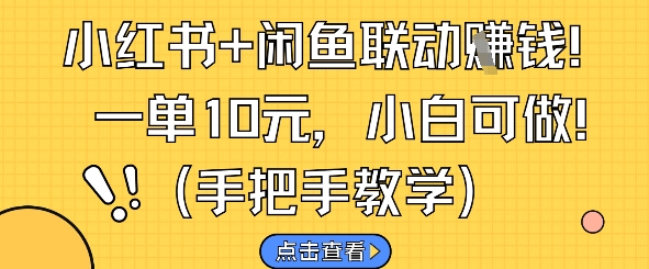 小红书+闲鱼联动挣钱，一单10元，小白可做-轻金阁