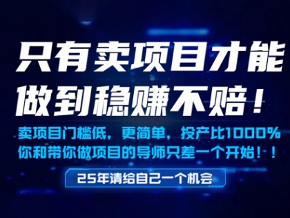 只有卖项目才能做到稳挣不赔，门槛低，更简单，你也可以年入百个W【揭秘】-轻金阁