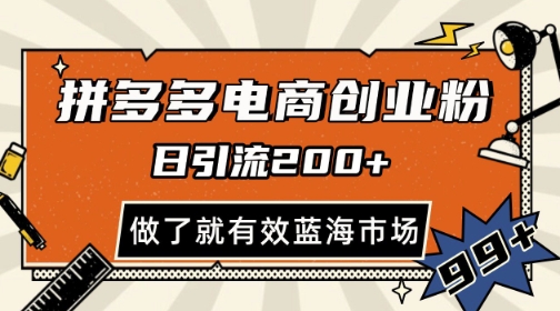 拼多多引流电商创业粉，日引200+，可矩阵放大，做了就有效【揭秘】-轻金阁