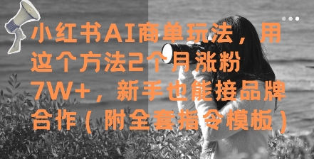 小红书AI商单玩法，用这个方法2个月涨粉7W+，新手也能接品牌合作(附全套指令模板)-轻金阁