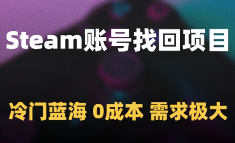 Steam账号找回项目，冷门蓝海，0成本，需求极大-轻金阁