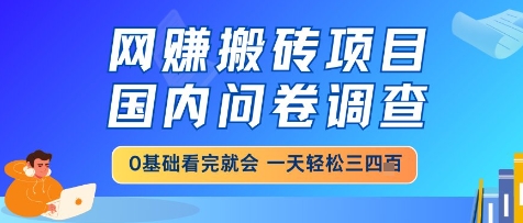 网创搬砖项目，国内问卷调查，小白轻松上手，一天三四张的也不难，干就完了【揭秘】-轻金阁