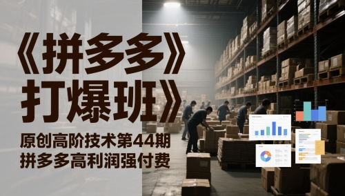 《拼多多打爆班》原创高阶技术第44期，拼多多高利润强付费-轻金阁