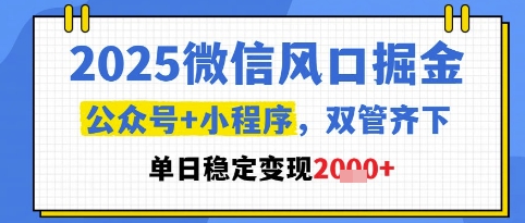 2025微信风口掘金，公众号+小程序双管齐下，单日稳定变现1k+【揭秘】-轻金阁