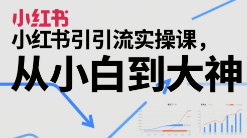 小红书引流实操课，从小白到大神-轻金阁