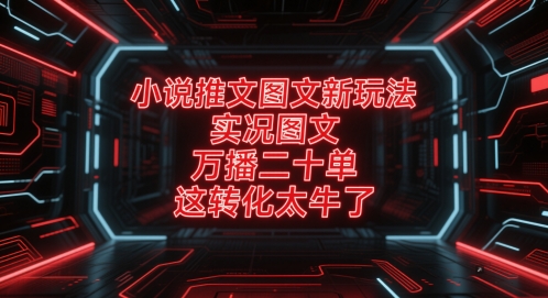小说推文图文新玩法，实况图文，万播二十单，这转化太牛了！-轻金阁